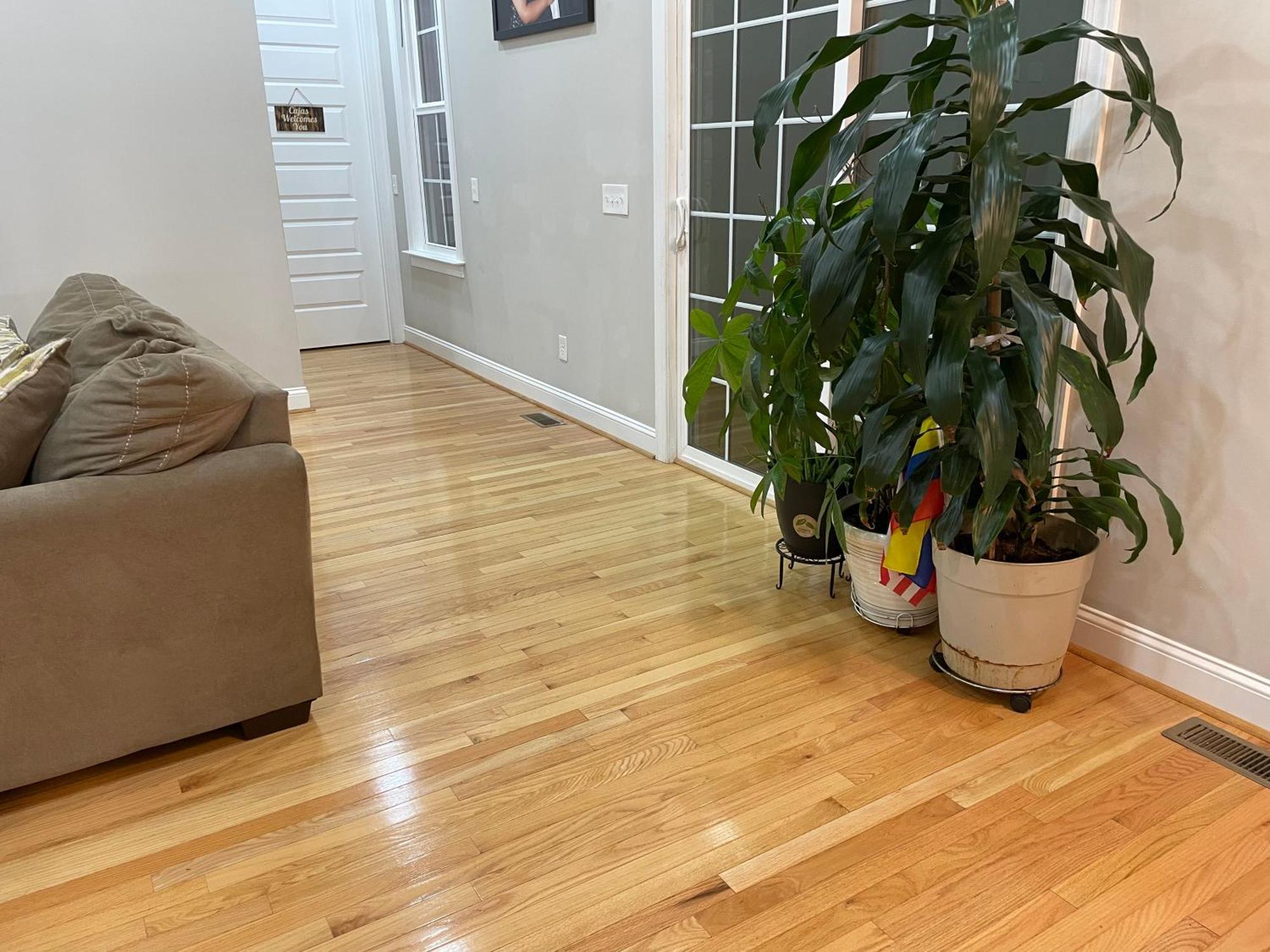 La Casa Grande Hosting Appartement Whitsett Buitenkant foto